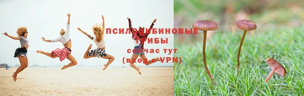 шишки Балабаново