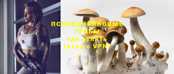 шишки Балабаново