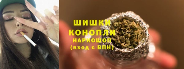 шишки Балабаново