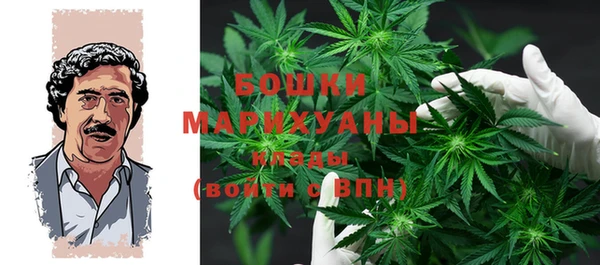 шишки Балабаново