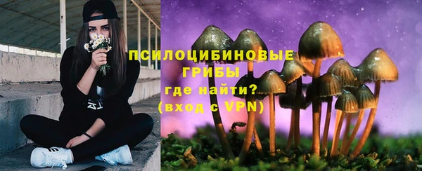 прущие крисы Балахна