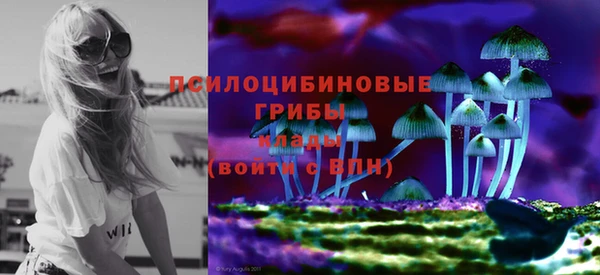 шишки Балабаново